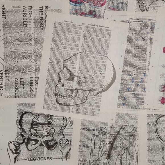 Anatomy Vintage Dictionary Prints, Anatomy Prints, Book Page Prints - Picture 1 of 10